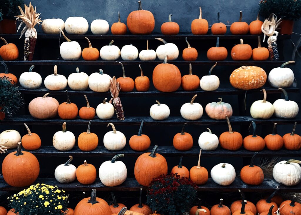 Halloween pumpkins on a stand for DIY Halloween costume ideas.